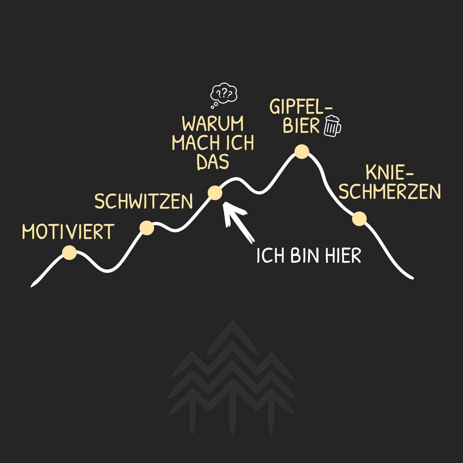 5 Phasen der Wanderung - Bio Herren Shirt