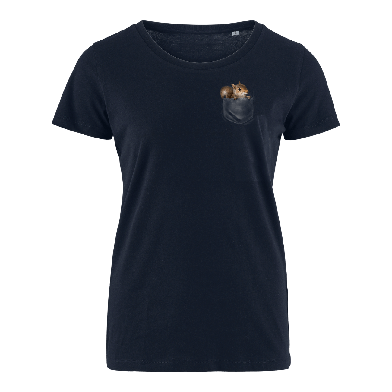 French Navy