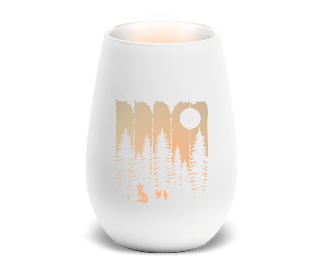 Windlicht Fuchs Im Wald