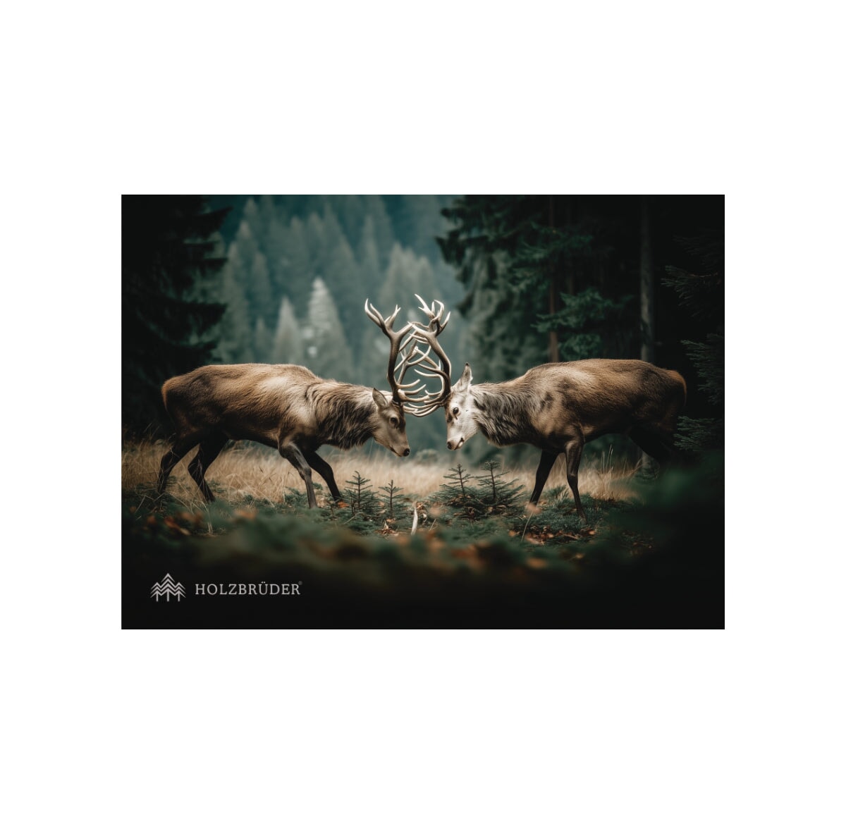 Postkarten Set (10 Stk.)