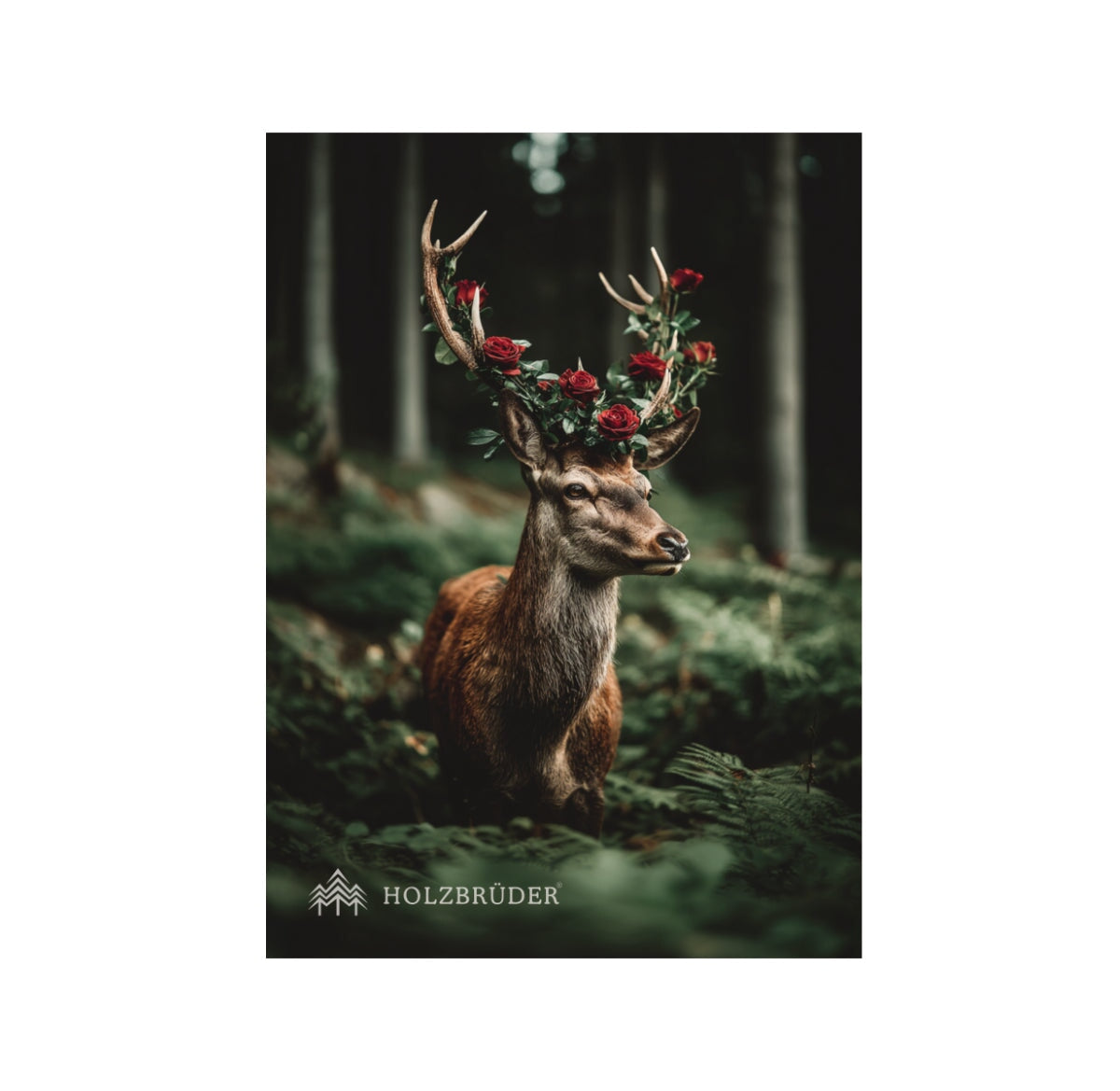 Postkarten Set (10 Stk.)