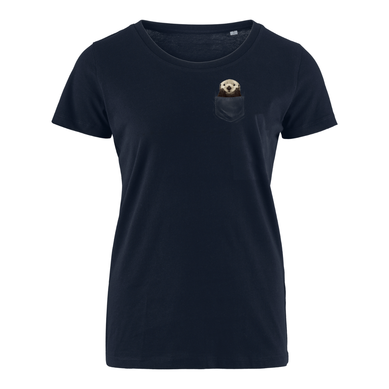 French Navy
